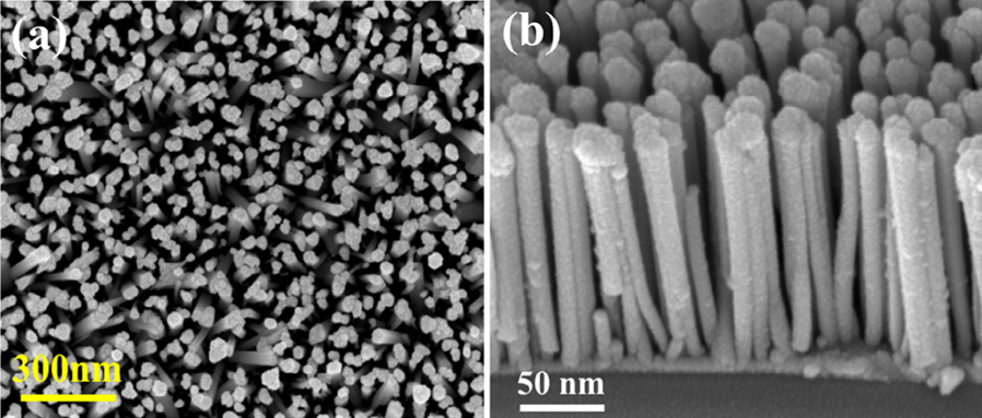 氮化镓纳米线俯视图