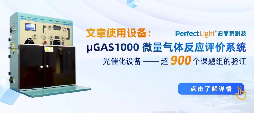μgas1000微量气体反应评价系统