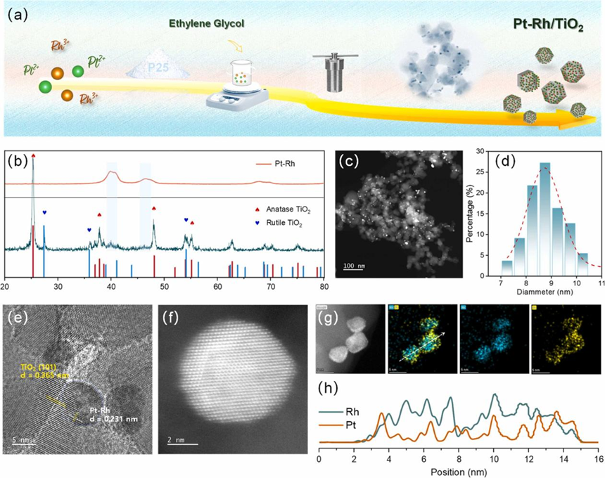 &nbsp;催化剂的合成和表征
