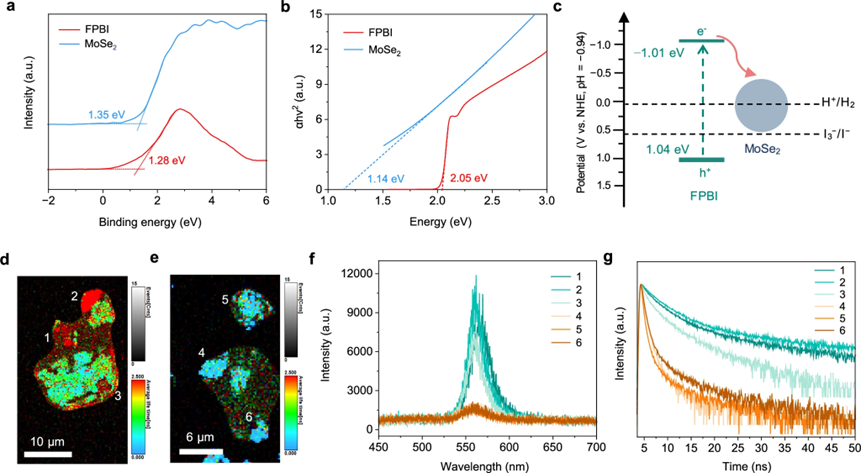 带隙对齐与载流子动力学研究