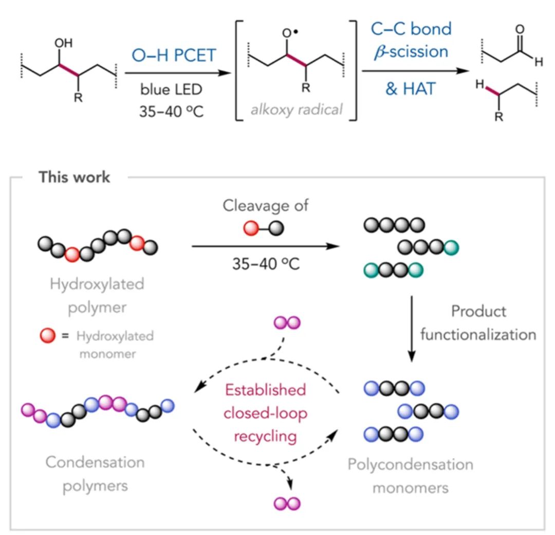 光催化降解pe反应机理