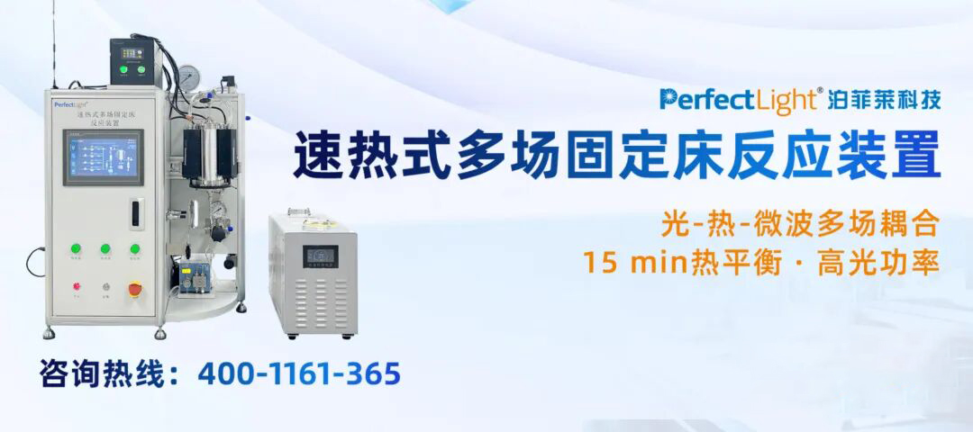 速热式多场固定床反应装置