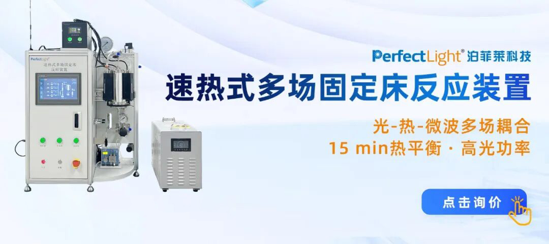 速热式多场固定床反应装置